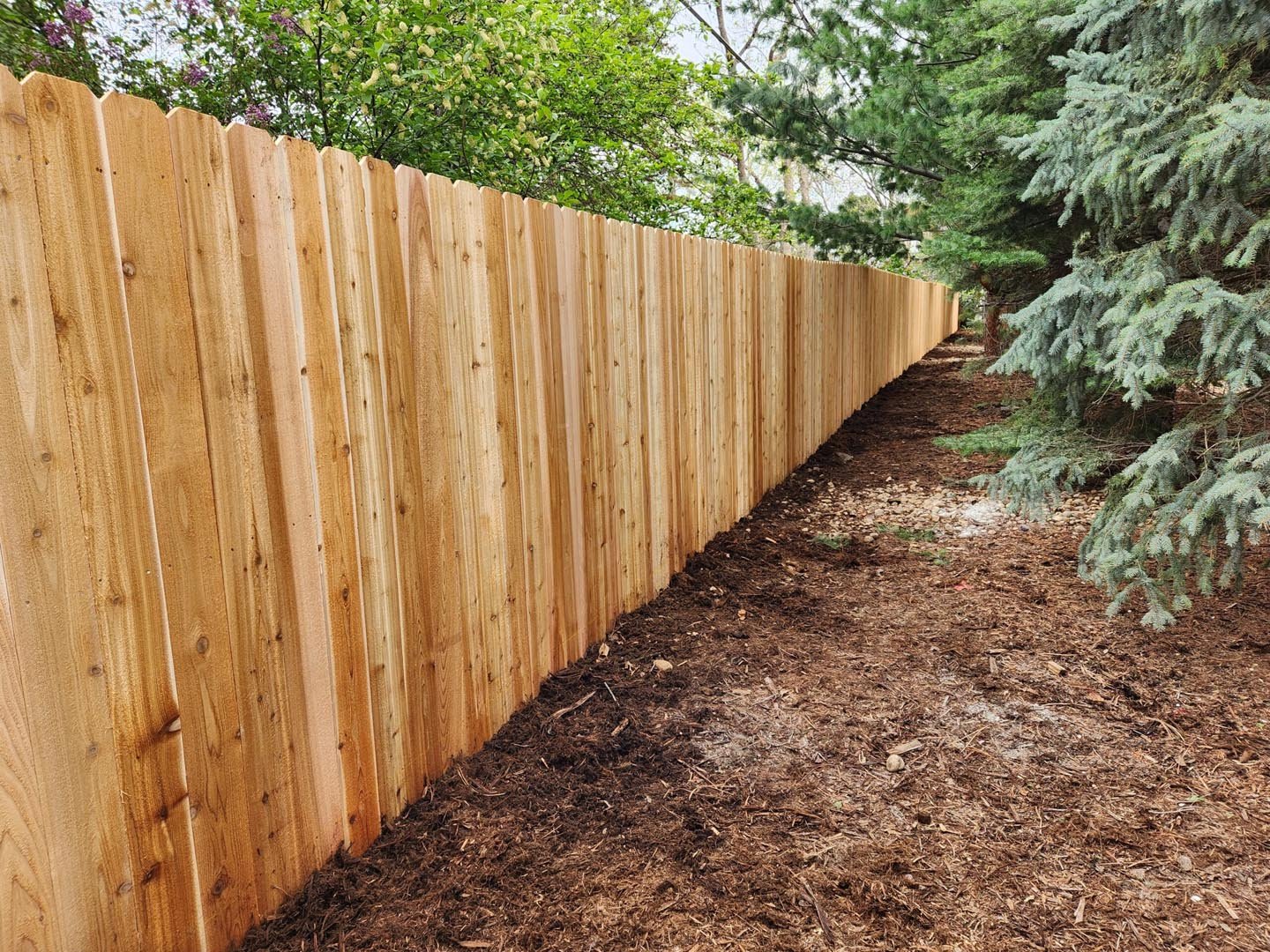 Cedar Fence Installation